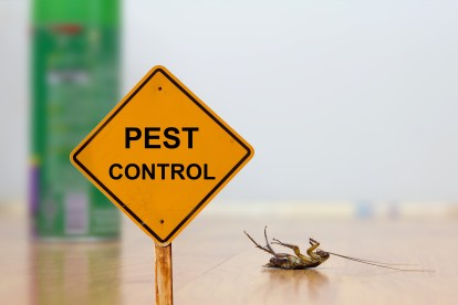 Pest Contol in Epsom, Horton, Longmead, KT19. Call Now 020 8166 9746